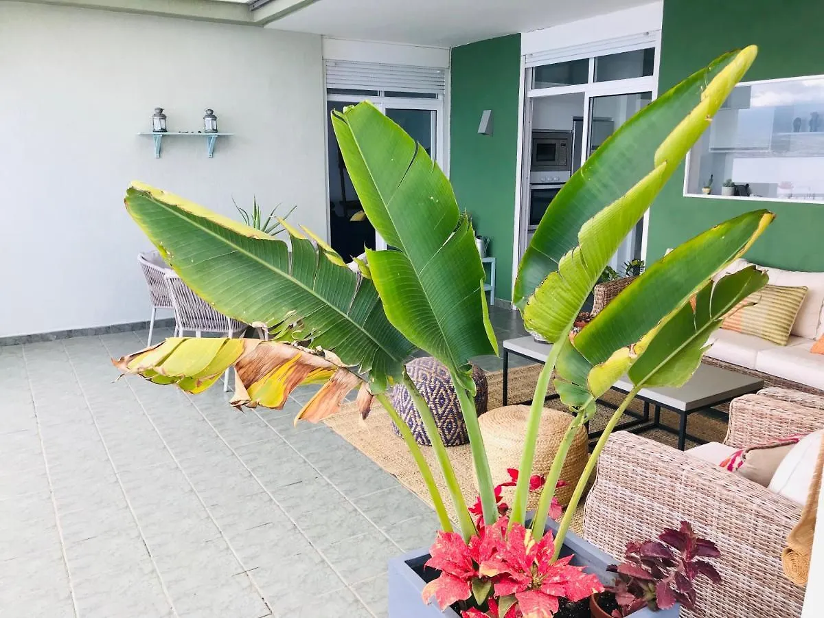 Apartament La Casa Verde Radazul